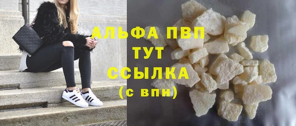индика Верхний Тагил