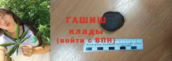 индика Верхний Тагил