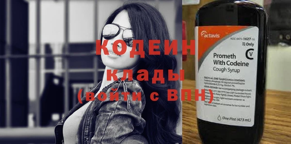 индика Верхний Тагил