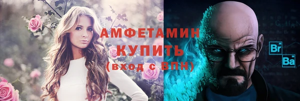 индика Верхний Тагил