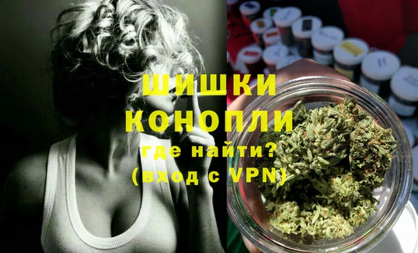 гашик Верея