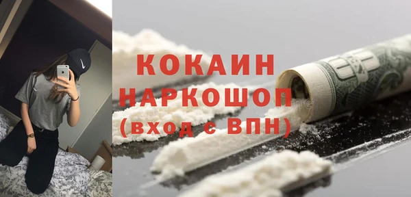 гашик Верея