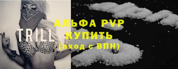 индика Верхний Тагил