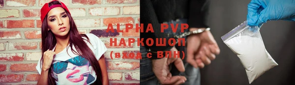 индика Верхний Тагил