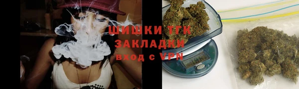 гашик Верея