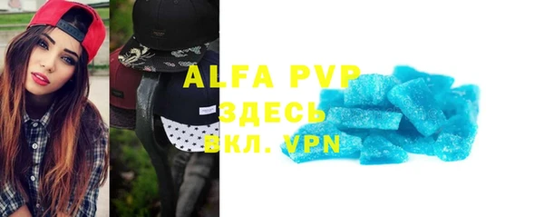 индика Верхний Тагил