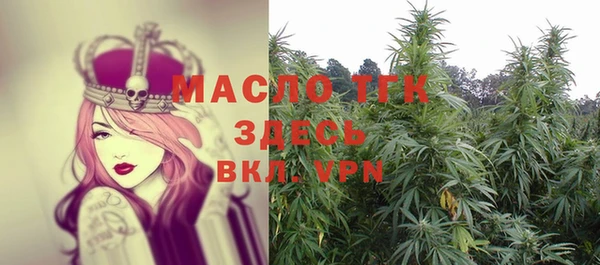индика Верхний Тагил