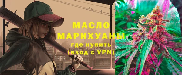 индика Верхний Тагил