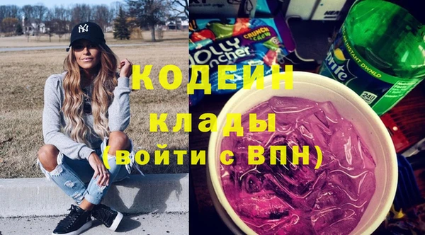 гашик Верея
