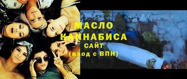 гашик Верея