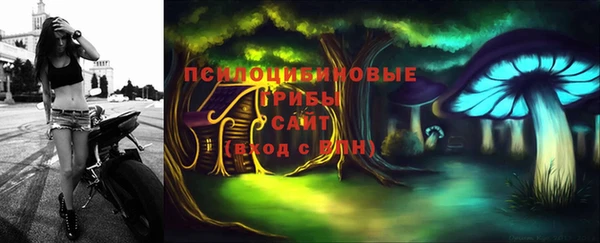 гашик Верея