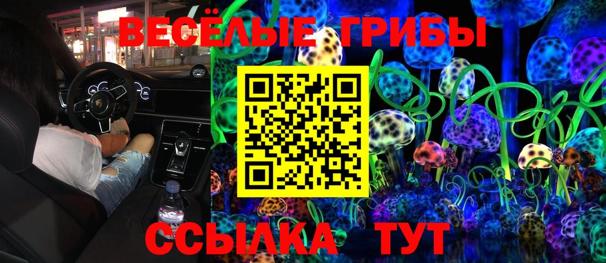 Мариинск  Псилоцибиновые грибы Psilocybine cubensis  Вход с VPN 
