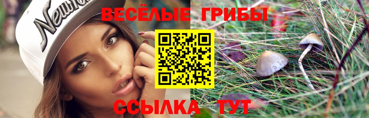 Псилоцибиновые грибы Cubensis Мариинск